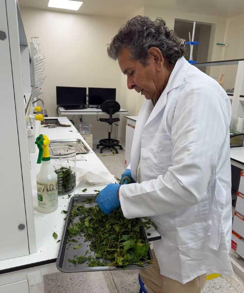 Laboratorio Miguelangie - Investigación Ancestral
